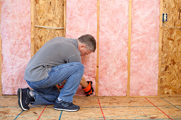 Professional Insulation Services in Potosi, TX